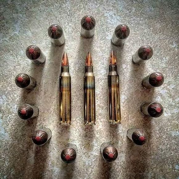 Meet your Posher, Bobby - Picture 1 of 1